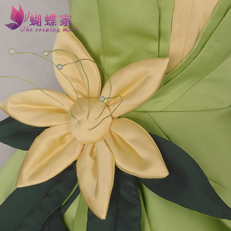 Prinses Tiana Jurk Cosplay Kos - Men Accessories Pack recensie en prijs